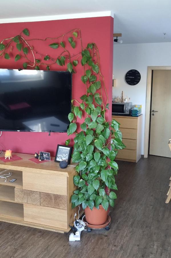 Ferienwohnung Bergidyll Schwarzenberg  Esterno foto
